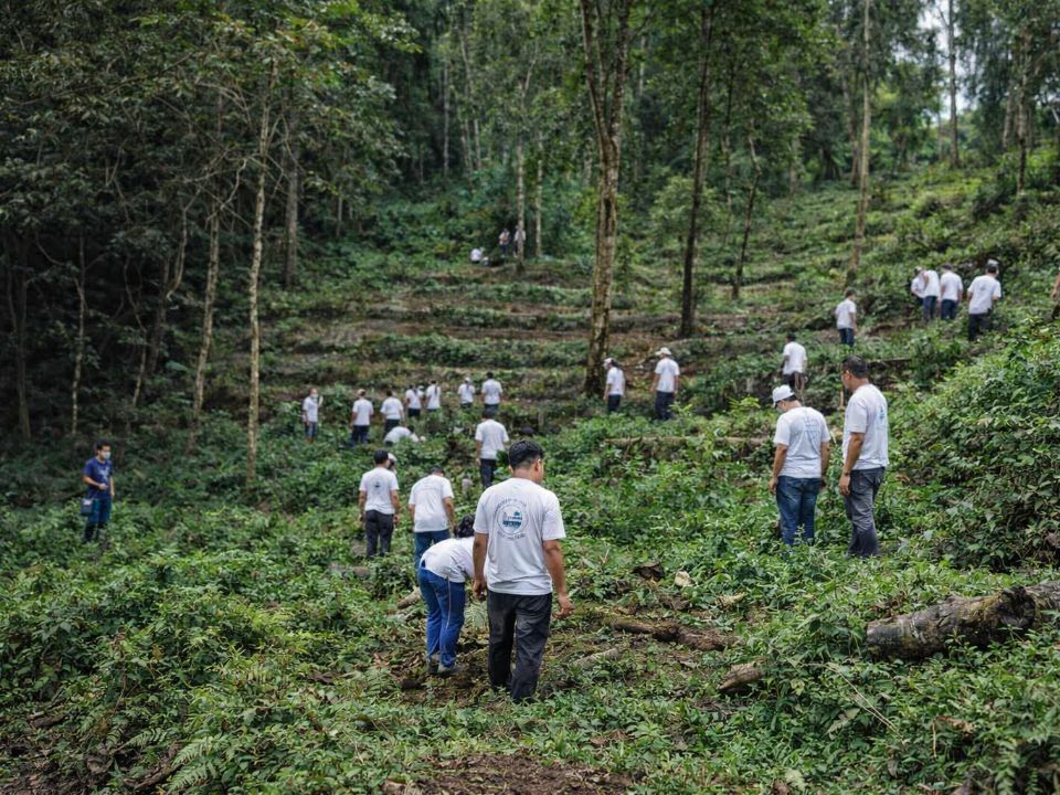 Soreng witnessed a mass plantation and maintenance campaign covering terraced forestland. Volunteers spread across the site to clear competing weeds, inspect sapling health, and plant additional trees. The large-scale operation accelerated ecosystem recovery, improved vegetation density, and created a continuous corridor for wildlife movement