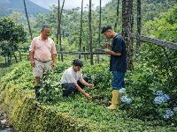 Sikkim State Compensatory Afforestation Fund Management and Planning Authority